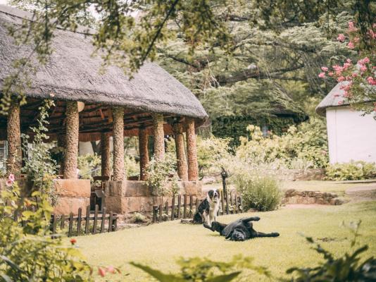 Wyndford Holiday Farm - 237849