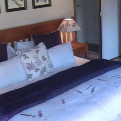 Warrens Guest House - 237912