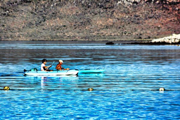 Kamen Cottage, Langebaan - 238026