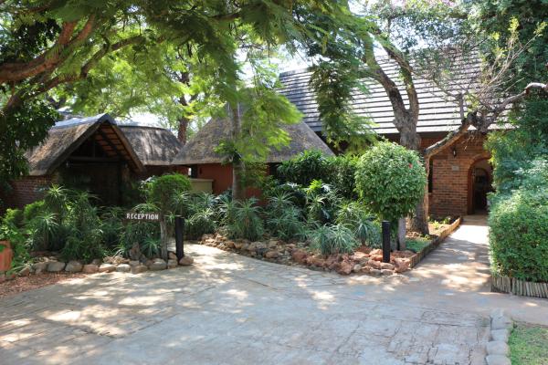 Mohlabetsi Safari Lodge - 238259