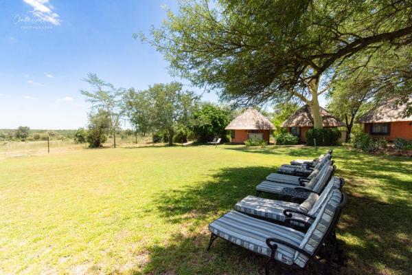 Mohlabetsi Safari Lodge - 238264