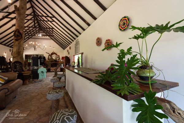 Mohlabetsi Safari Lodge - 238281