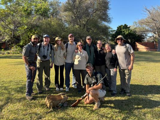Mohlabetsi Safari Lodge - 238291