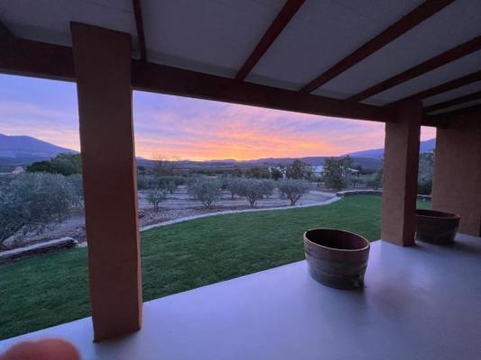 Altevrede Olive Farm - 238459