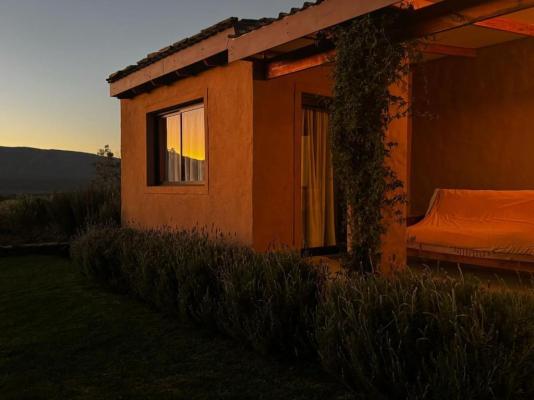 Altevrede Olive Farm - 238464