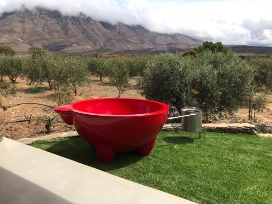 Altevrede Olive Farm - 238470