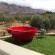 Altevrede Olive Farm - 238470 Altevrede Olive Farm - 238470