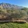 Altevrede Olive Farm - 238471 Altevrede Olive Farm - 238471