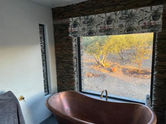 Altevrede Olive Farm - 238476