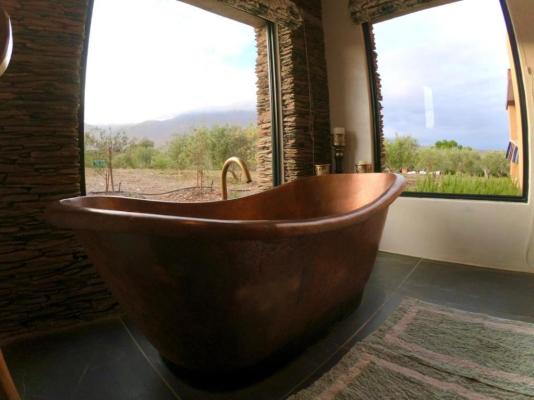 Altevrede Olive Farm - 238478
