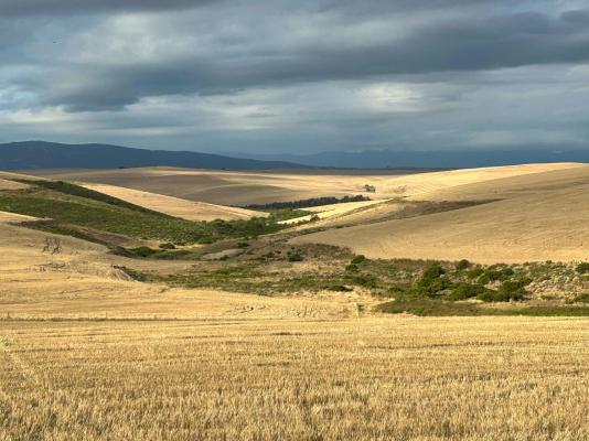 Rolling Hills Farmstead - 238529