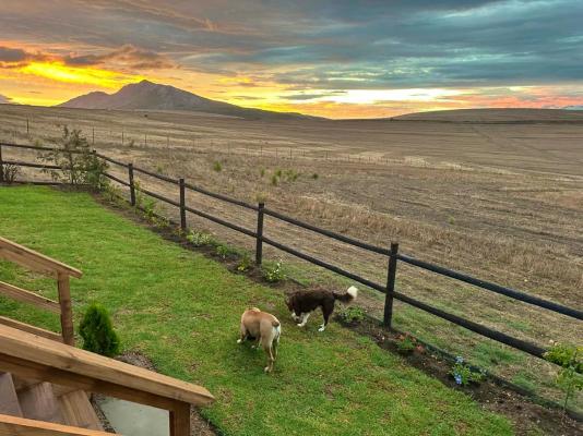Rolling Hills Farmstead - 238550