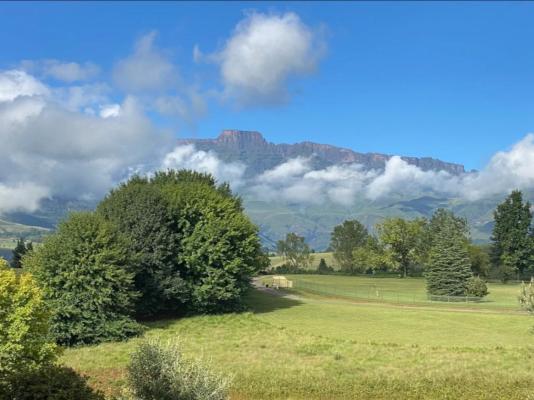 Champagne Valley Resort - 238627