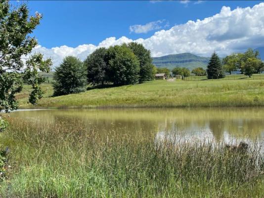 Champagne Valley Resort - 238633