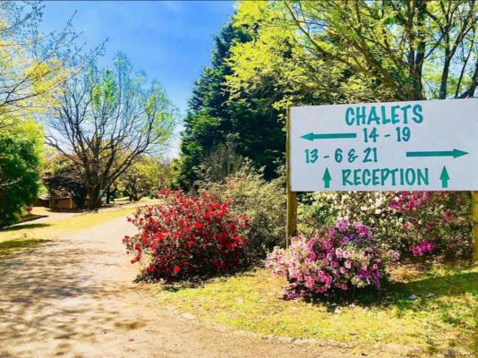 Champagne Valley Resort - 238637