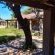 Cranberry Cottage Kathu - 238677 Cranberry Cottage Kathu - 238677