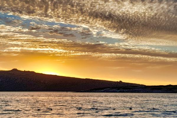 Sea Cottage Langebaan 4 Sleeper - 238909