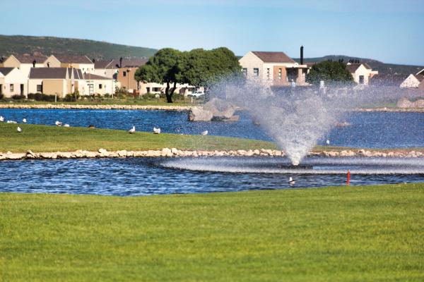 Sea Cottage Langebaan 4 Sleeper - 238920