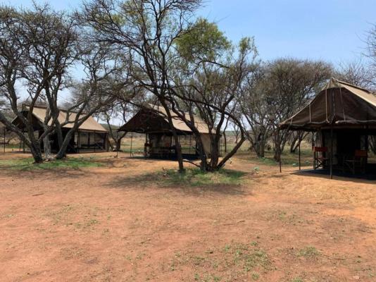 Zebra Nature Reserve - 238961