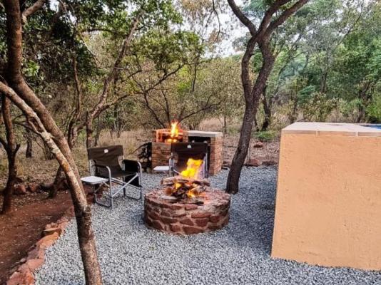Zebra Nature Reserve - 238994