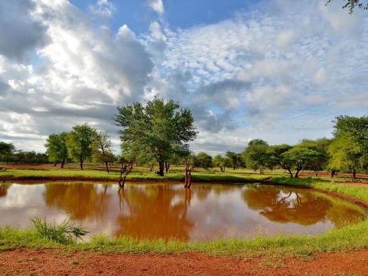 Winterfell Lephalale Lodge - 239669