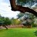 Winterfell Lephalale Lodge - 239678