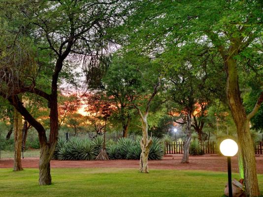 Winterfell Lephalale Lodge - 239680