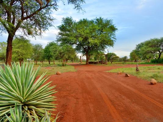 Winterfell Lephalale Lodge - 239682
