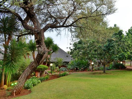 Winterfell Lephalale Lodge - 239685