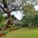 Winterfell Lephalale Lodge - 239685