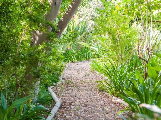Connie’s Cottages - 239869