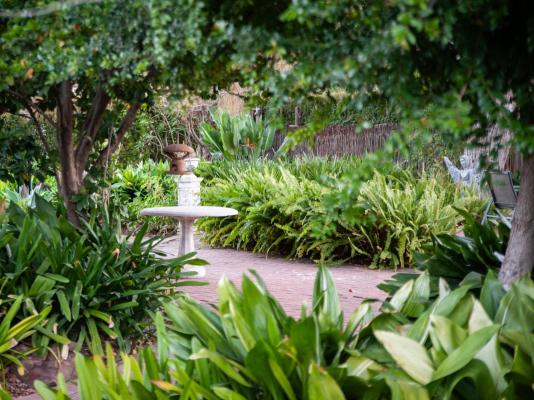 Connie’s Cottages - 239873