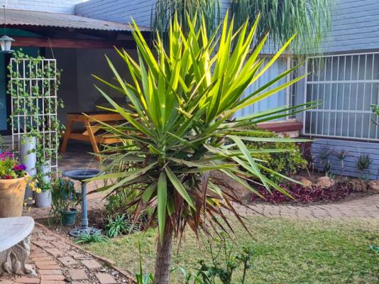 Serendipity Polokwane - 240141