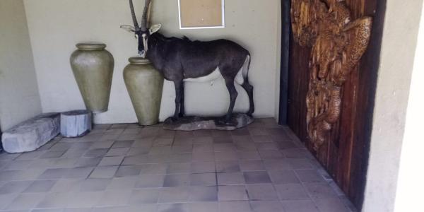 Lush Horizons Game Lodge - 240582
