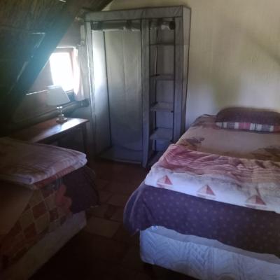 Lush Horizons Game Lodge - 240593