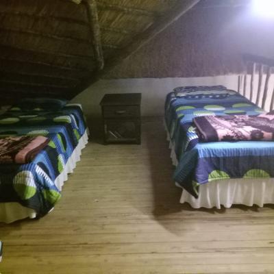 Lush Horizons Game Lodge - 240624