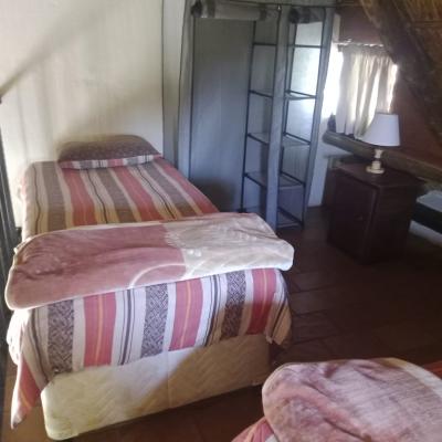 Lush Horizons Game Lodge - 240636