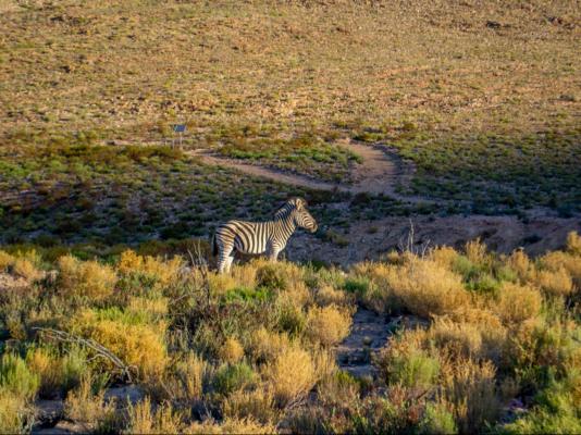 Desert Wind Private Guest and Game Farm - 240703