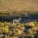 Desert Wind Private Guest and Game Farm - 240703