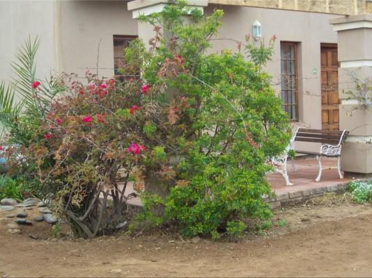 Huis Klipdrift Self-catering & B&B - 240849