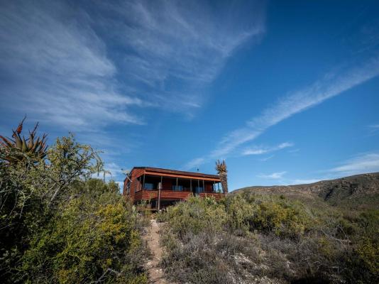 Matilo Cabins - 240965