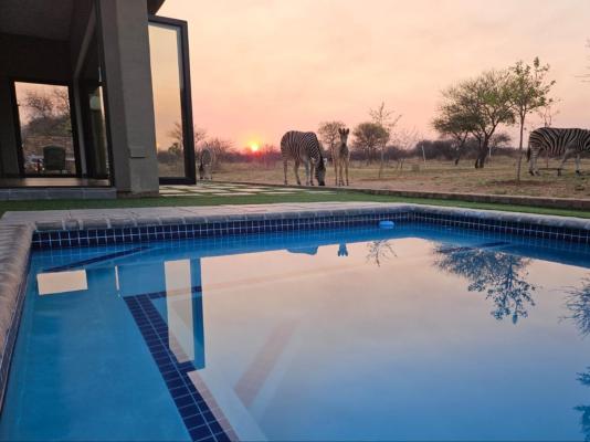 Tenkudu Bush Lodge - 241029