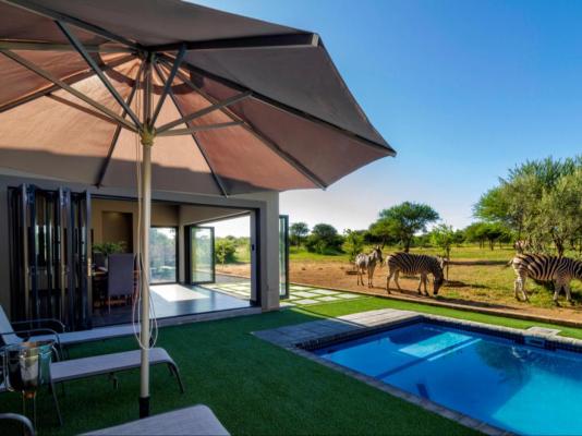 Tenkudu Bush Lodge - 241034
