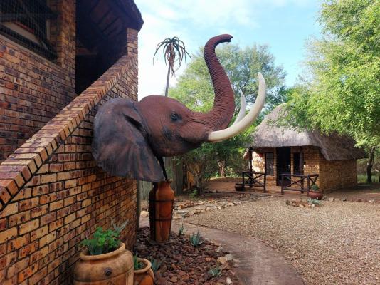 Elephant Memories - 241122
