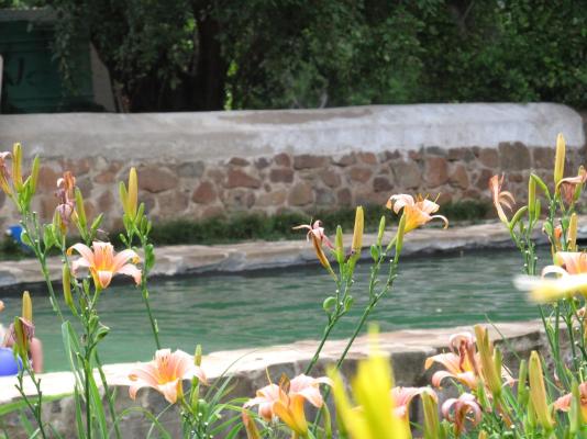 Hillside Farm - 241193