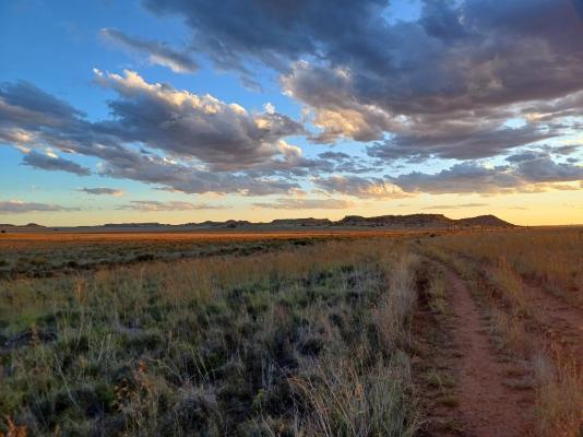 Hillside Farm - 241196