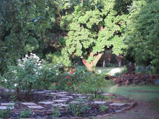 Hillside Farm - 241210