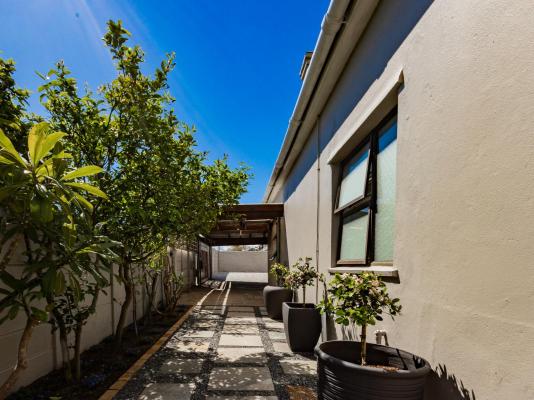 Urban Oaks - 241223