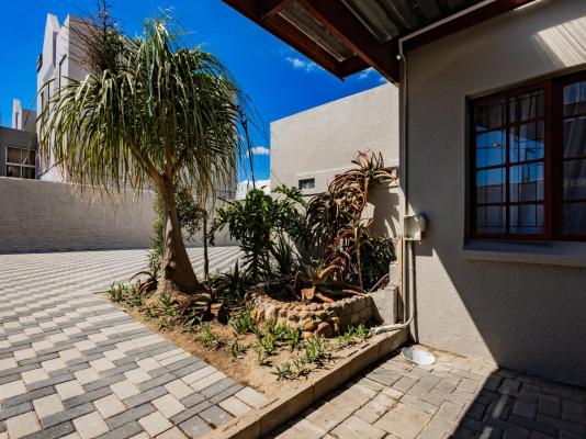 Urban Oaks - 241224