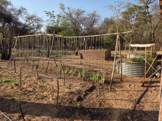 LOWES_VeggieGarden